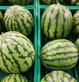 Watermelon